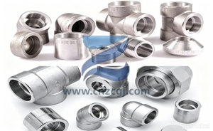 双相不锈钢锻制管件 duplex stainless steel forged fittings.jpg