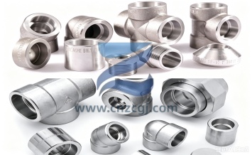Duplex Stainless Steel Forged Pipe Fittings