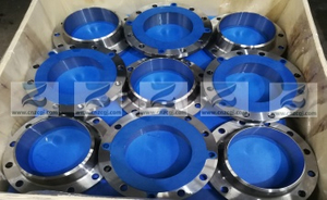 SS316 WN FLANGE.jpg
