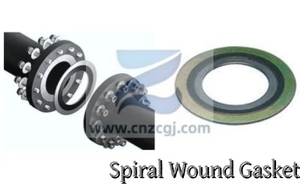 spiral wound gasket.jpg