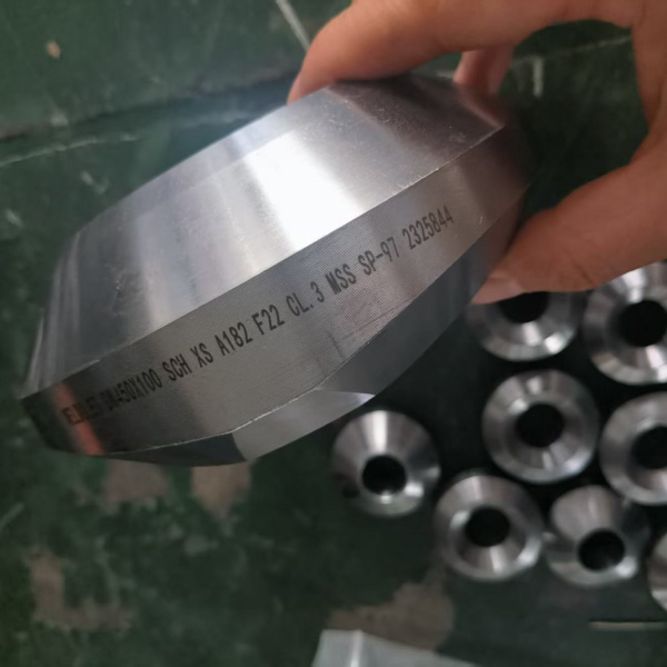 ASTM A182 Alloy Steel Weldolet
